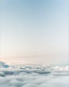 샘플 이미지